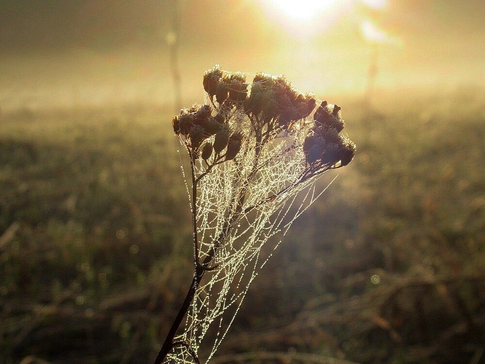 Photograph by Ольга Березовская