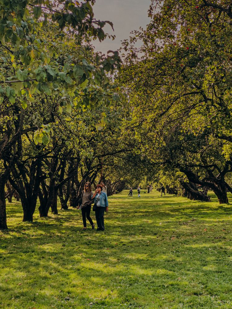 Фотография автора Марина Рябуха