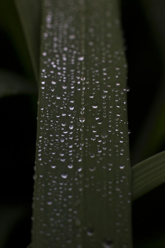 Photograph by Ксения Малявина
