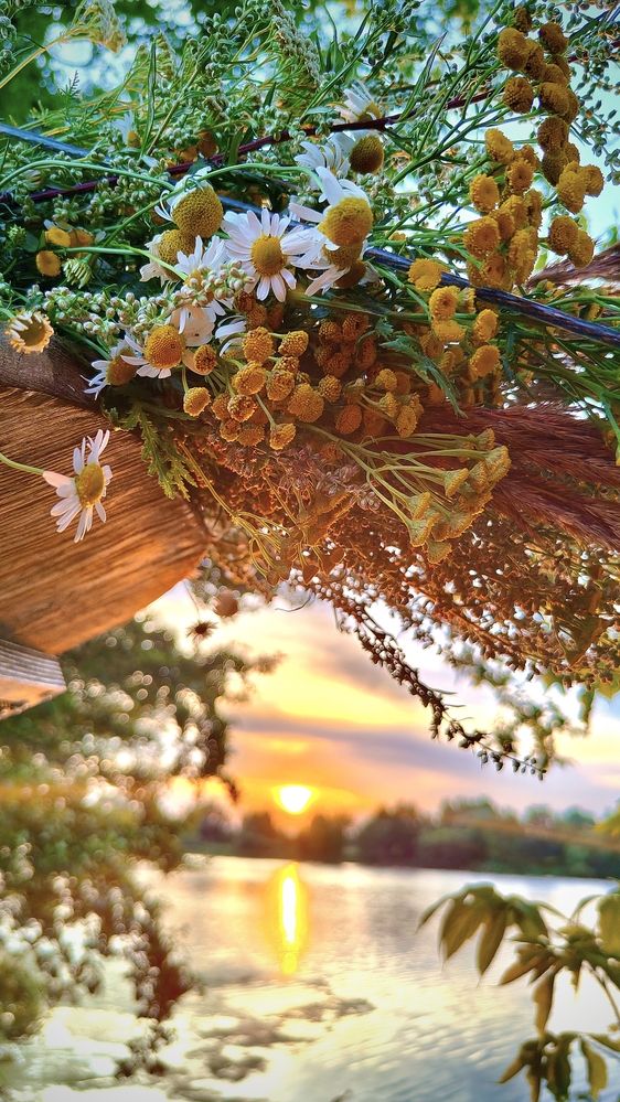 Photograph by Татьяна Нестерова