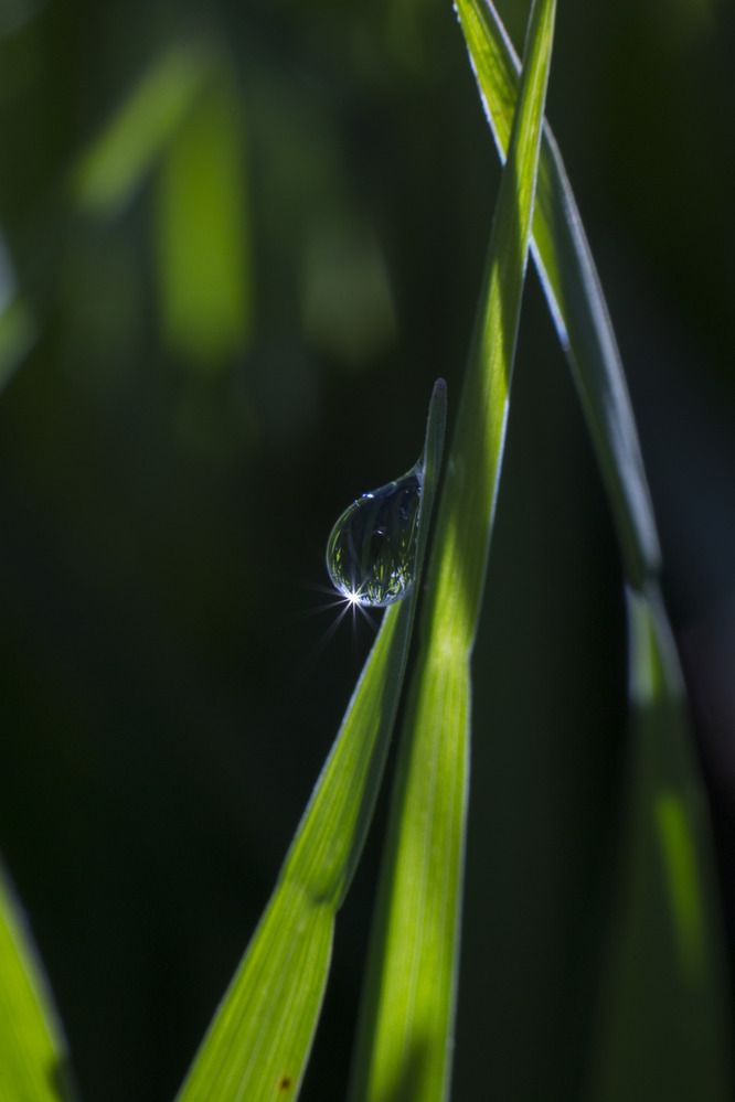 Photograph by Ксения Малявина