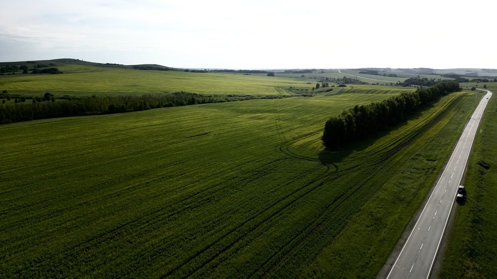 Photograph by ARTEM AFANACEV