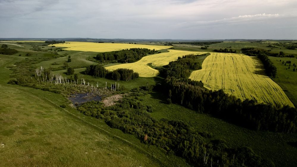 Photograph by ARTEM AFANACEV