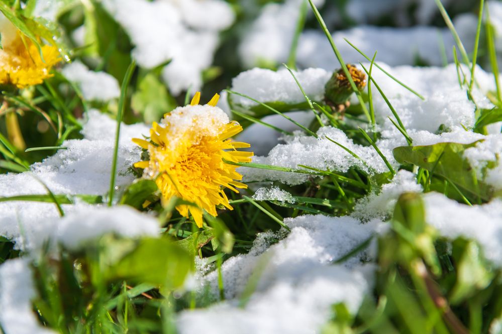 Photograph by Рыков Андрей