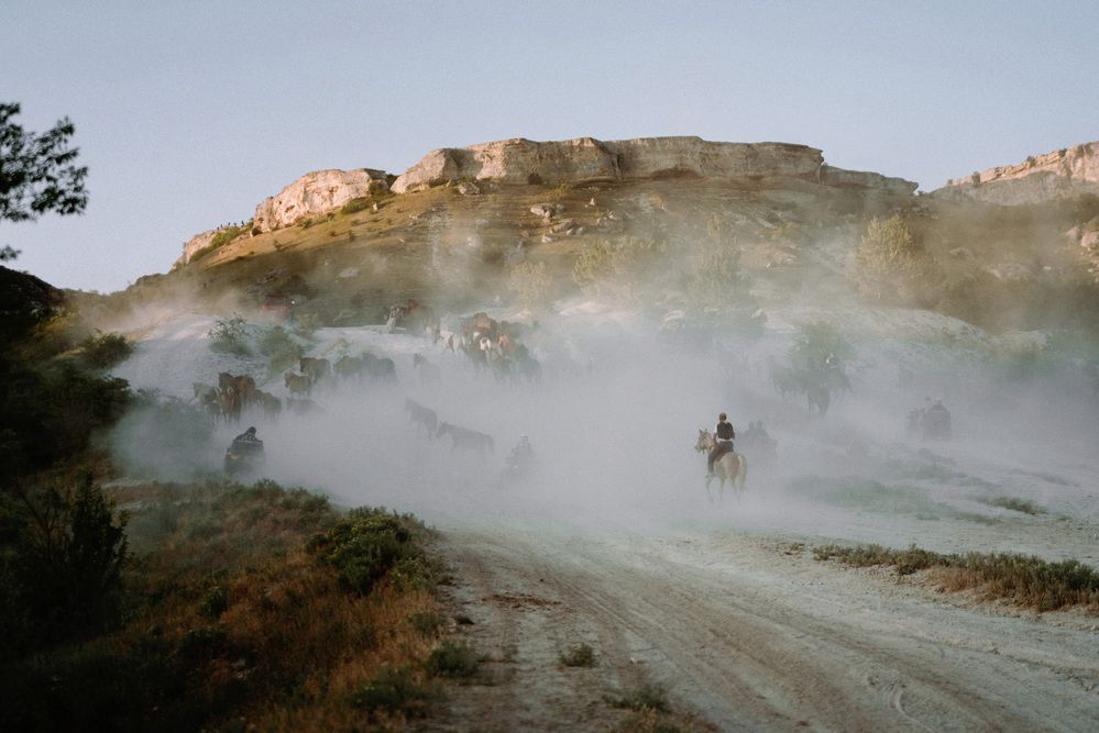 Фотография автора Сапронова Марина