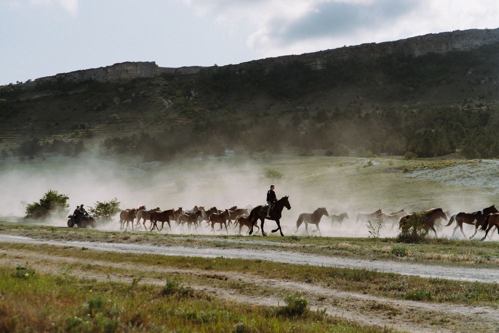 Фотография автора Сапронова Марина