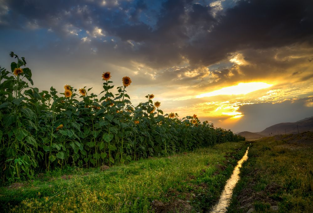 Photograph by Riahi Hosein