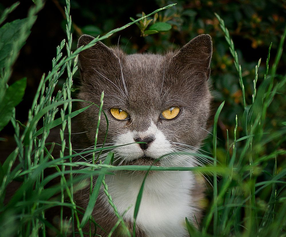 Photograph by Виктория Уварова