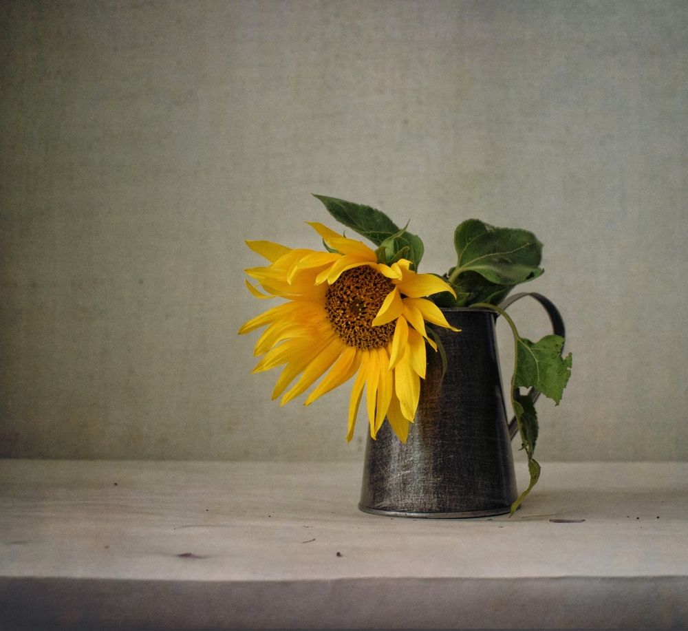 Photograph by Антонина Шабышева