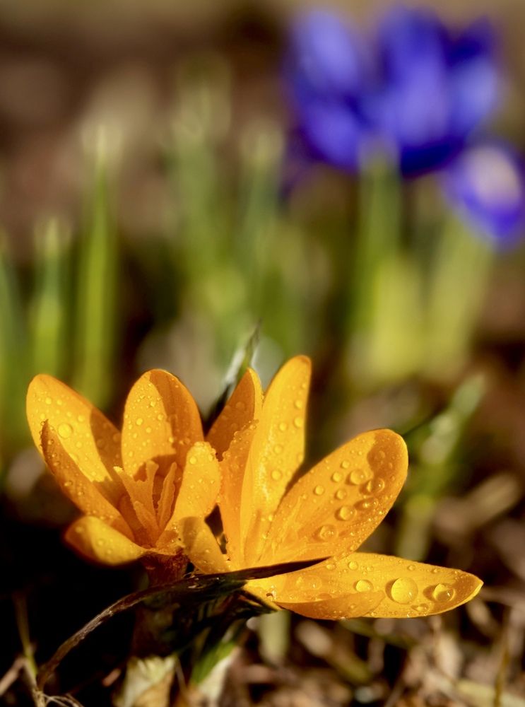 Фотография автора Евгения Иванова