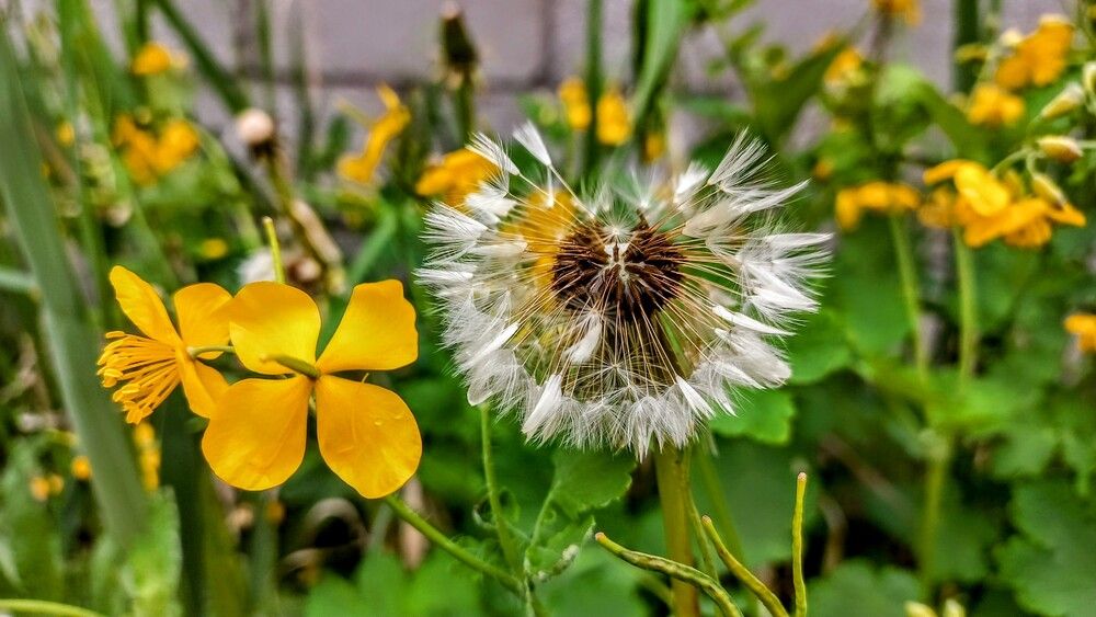 Photograph by Александр