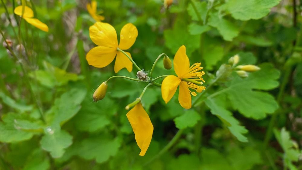 Photograph by Александр