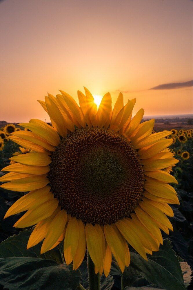 Photograph by Ксения Арсеева