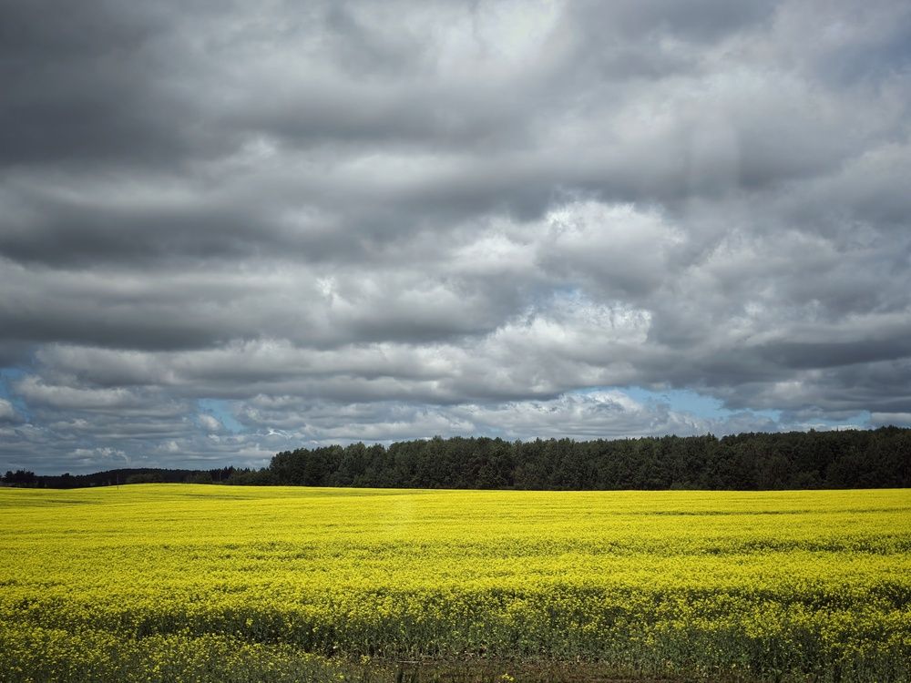 Фотография автора Мария Филиппова