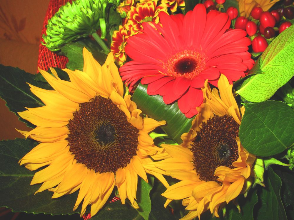 Photograph by Елена Чулюнина