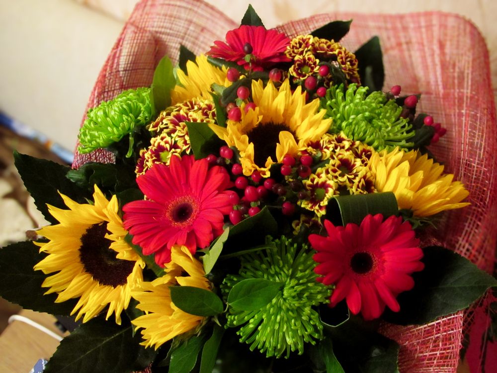 Photograph by Елена Чулюнина