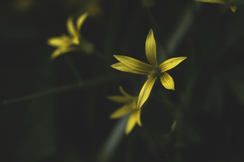 Фотография автора Войнов Дмитрий