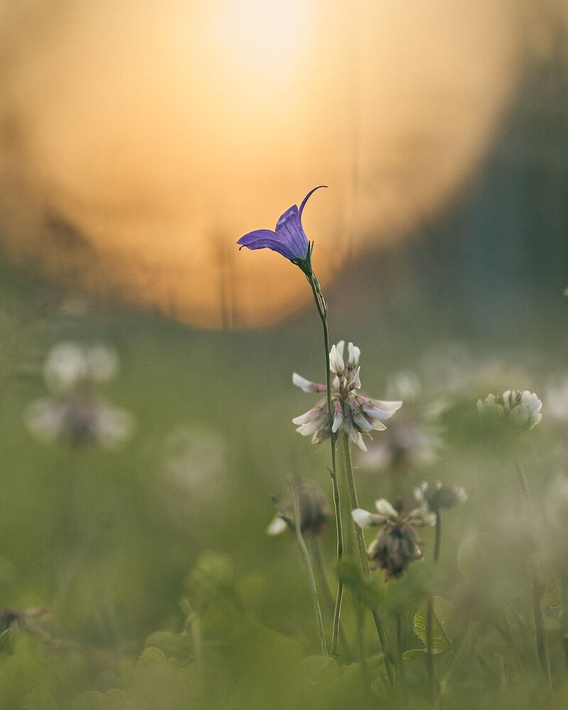 Photograph by Mikhail Khmelevskiy