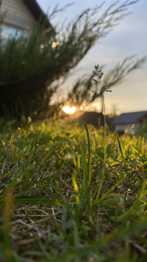 Photograph by Анна Кулакова