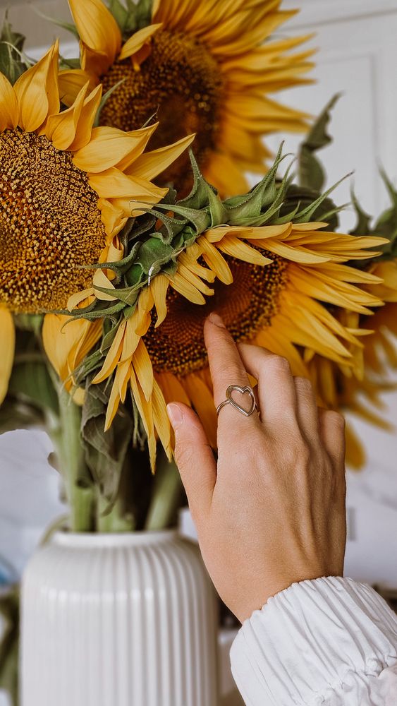 Photograph by Irina Chka