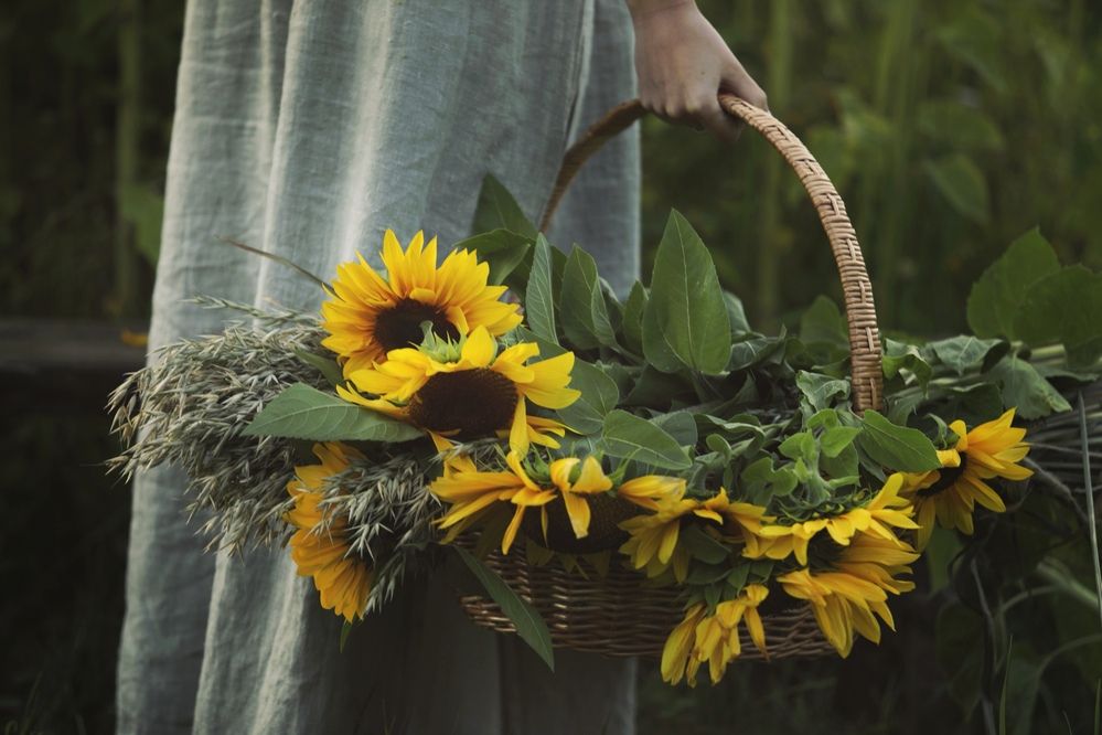 Фотография автора Ольга