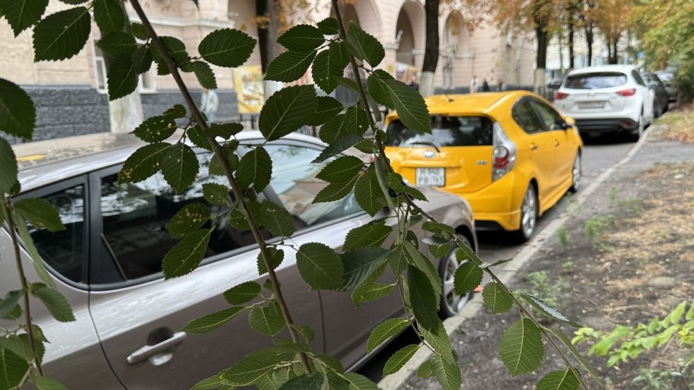 Photograph by Сергей Смирнов