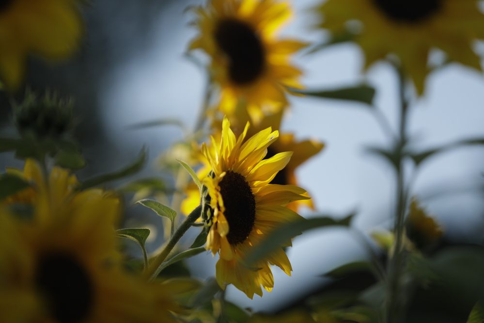 Фотография автора Ольга