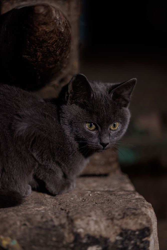 Photograph by Сивакова Виктория
