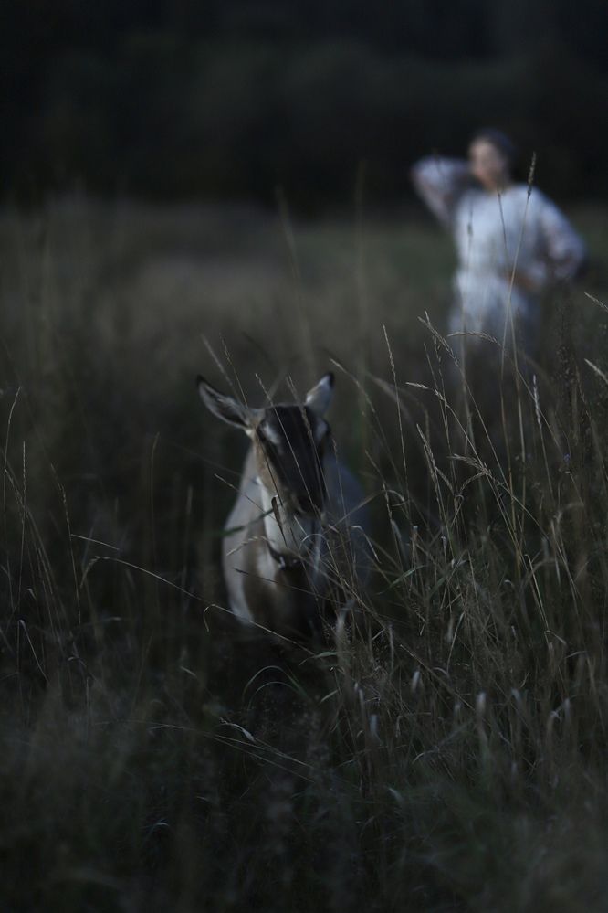 Photograph by Вера Сдвижкова