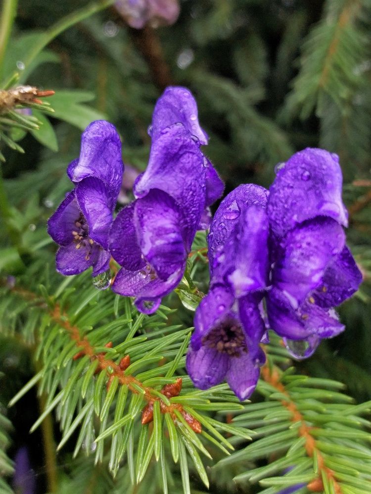 Photograph by Светлана Филина