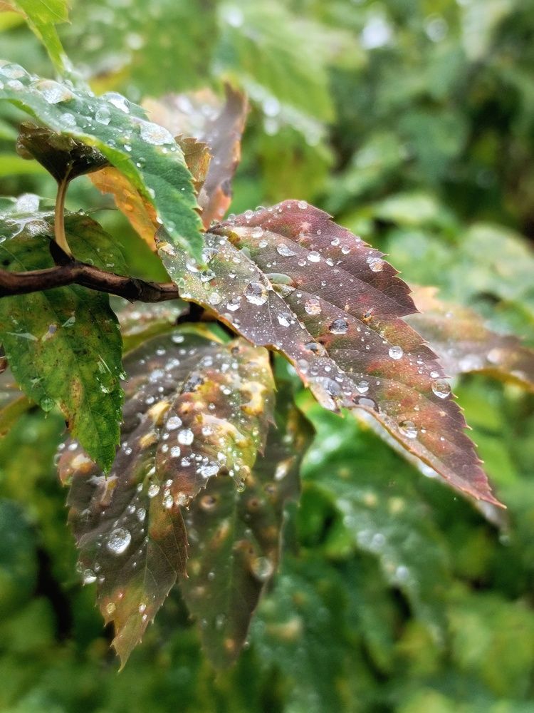 Photograph by Светлана Филина