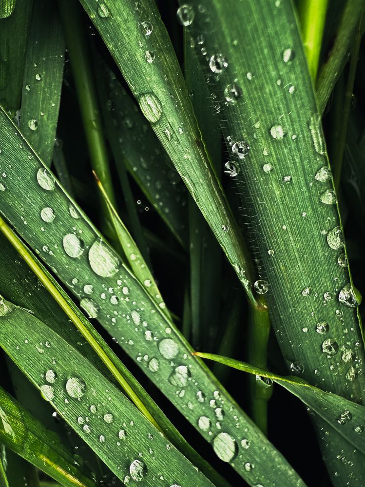 Photograph by Татьяна Цапкова