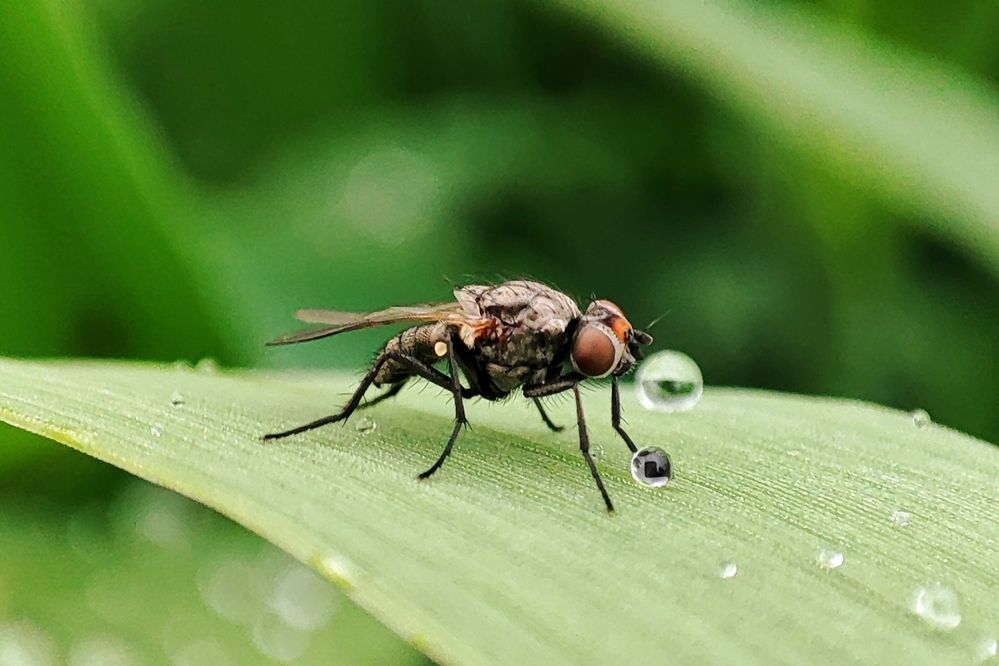 Фотография автора Валерий Жданов