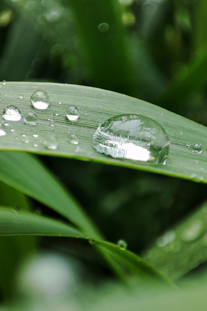 Фотография автора Валерий Жданов