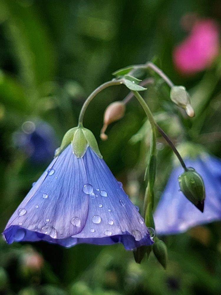 Photograph by Екатерина Баклыкова