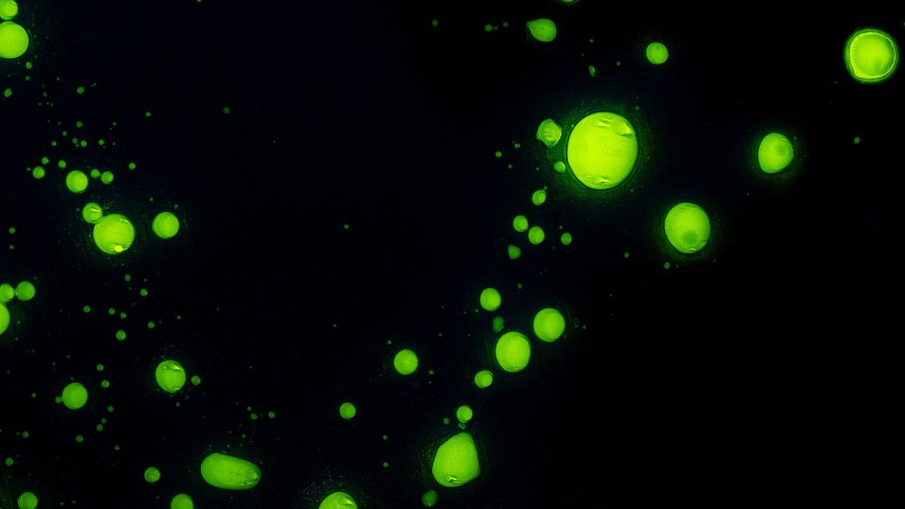 Photograph by Андрей Уколов