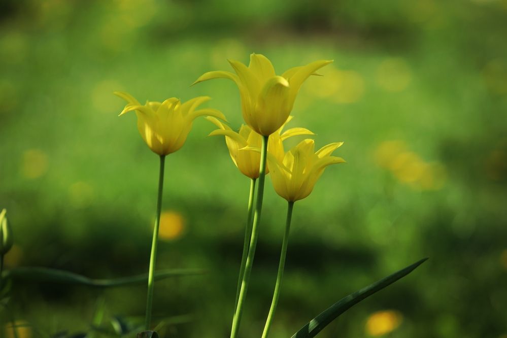 Фотография автора Ольга