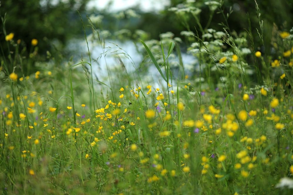 Фотография автора Ольга