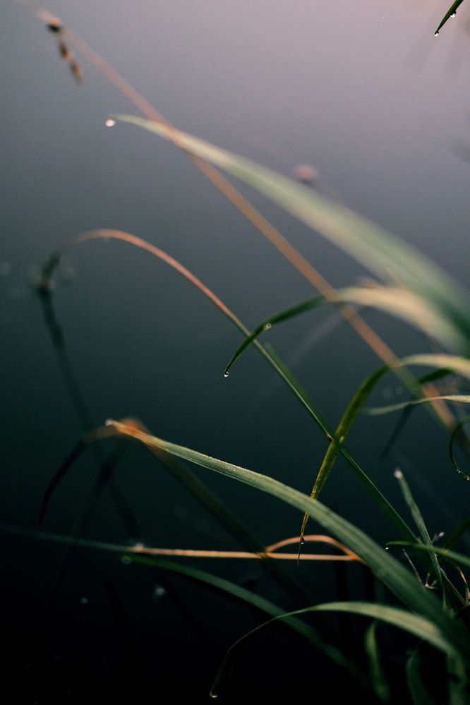 Photograph by Аида Фай