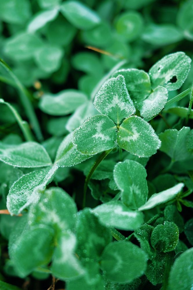 Photograph by Аида Фай