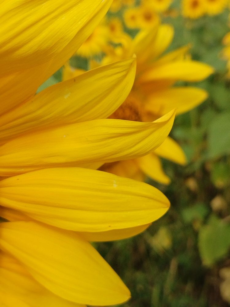 Photo #12602105