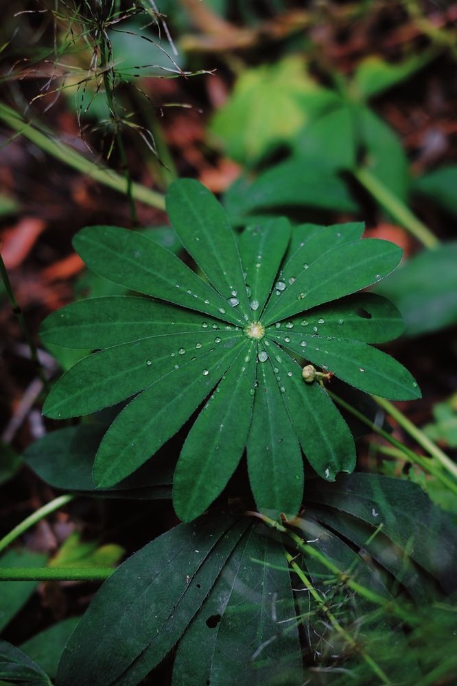 Photograph by Аида Фай