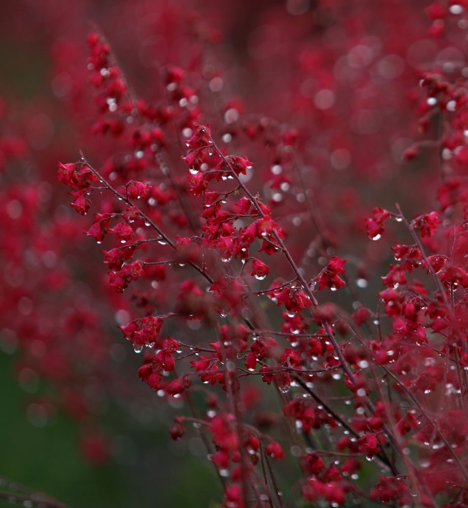 Фотография автора Ольга