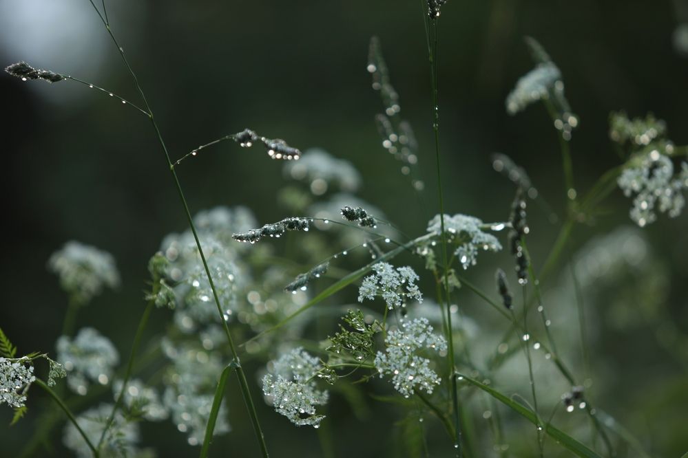 Фотография автора Ольга