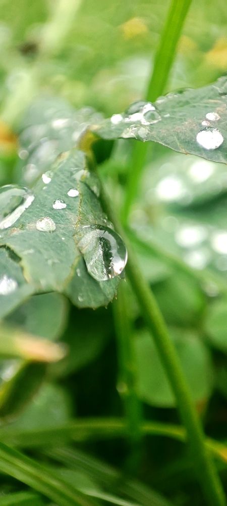 Фотография автора Анастасия Большакова