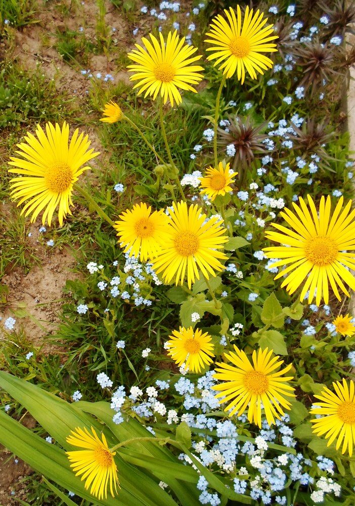 Photograph by Михаил Сербаев