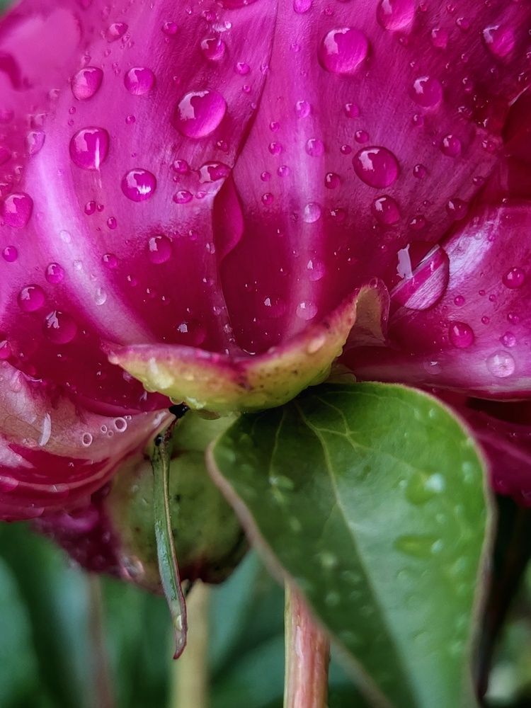 Photograph by Екатерина Баклыкова