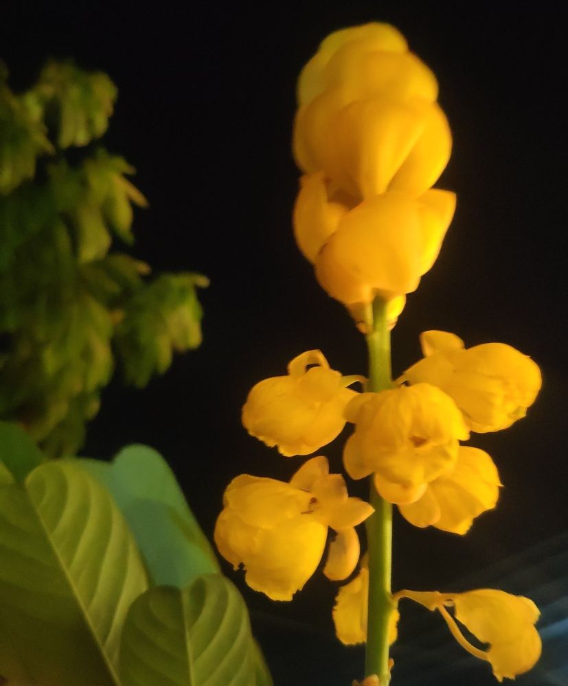 Photograph by Marzio Fattorini