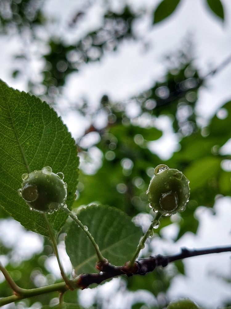 Photograph by Екатерина Баклыкова