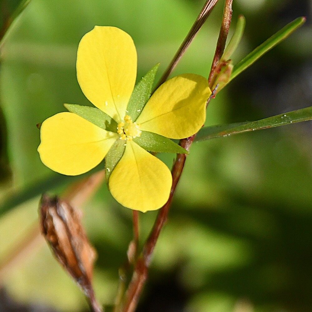 Photograph by Marzio Fattorini